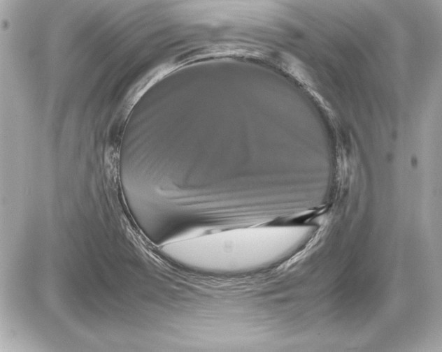 X0000087421369200705111905