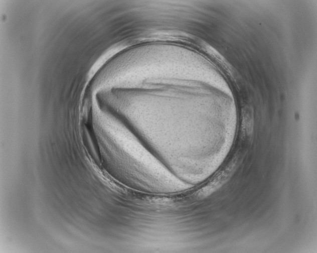 X0000087421370200705111905