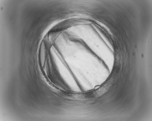 X0000087421375200705111905
