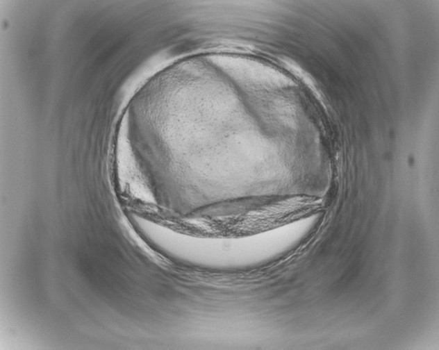 X0000087421379200705111905