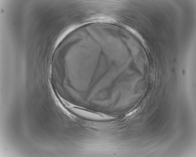 X0000087421383200705111905