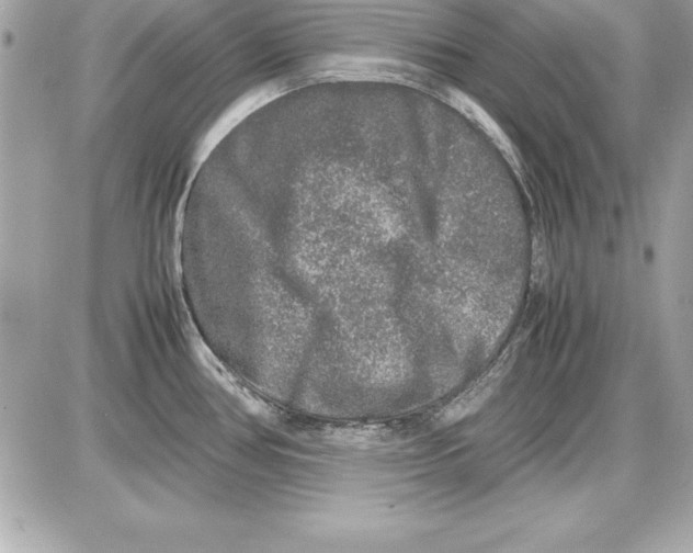 X0000087421386200705111905