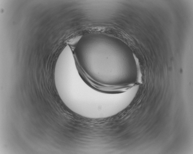X0000087421394200705111904