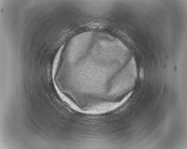 X0000087421396200705111904