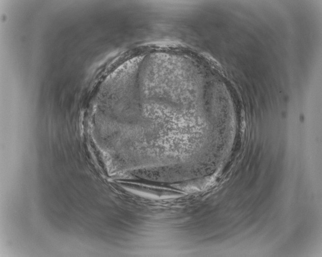 X0000087421398200705111904