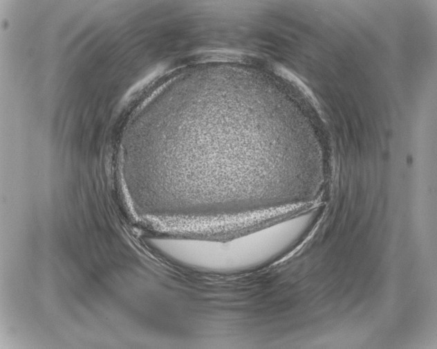 X0000087421403200705111904