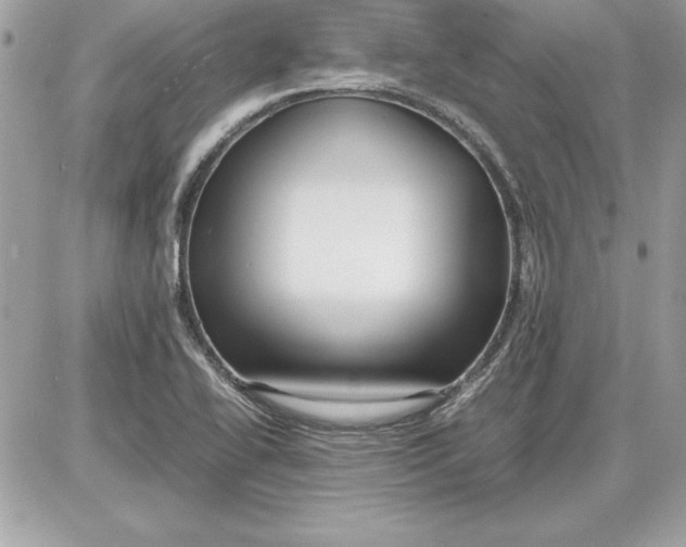 X0000087421414200705111905