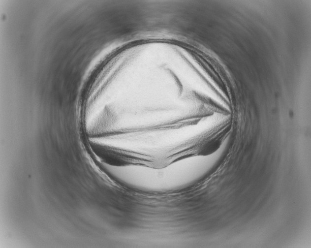 X0000087421416200705111905
