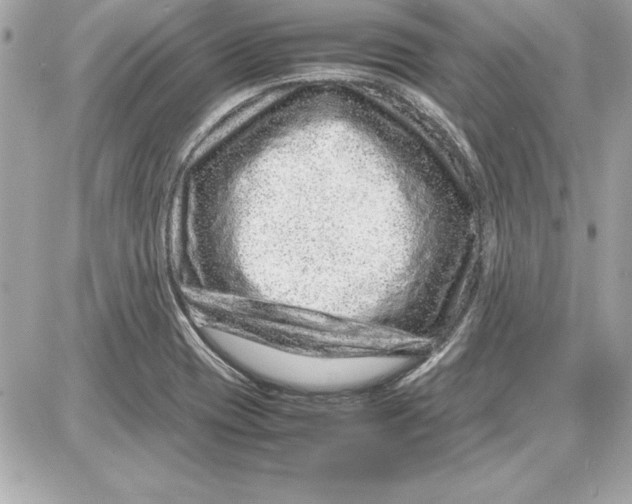 X0000087421417200705111905