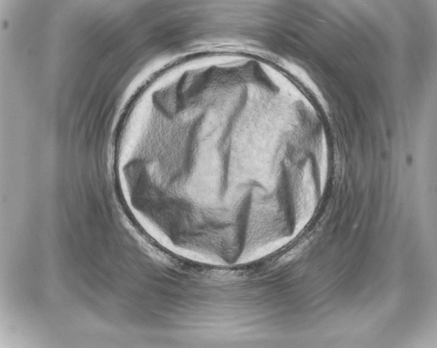 X0000087421424200705111905