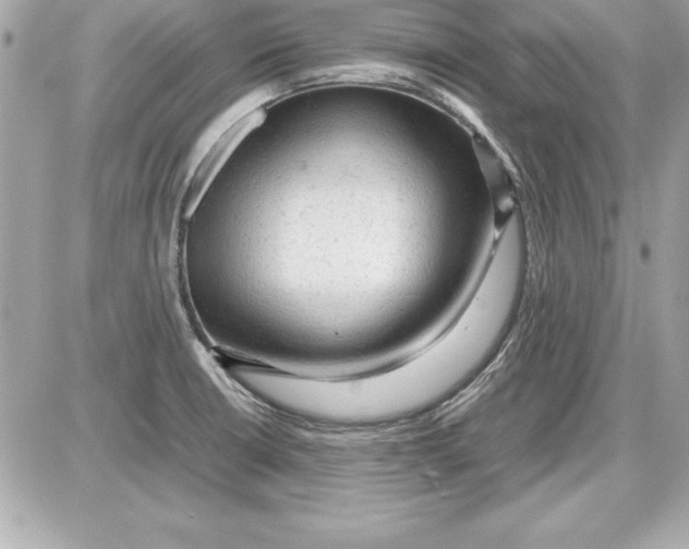 X0000087421426200705111905