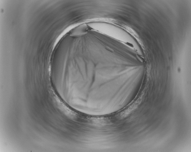 X0000087421428200705111905