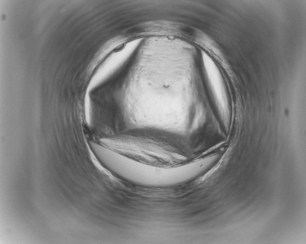 X0000087421433200705111905