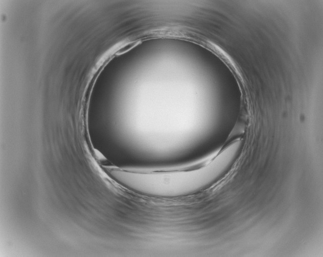 X0000087421434200705111905