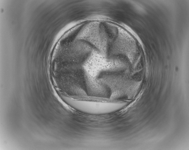 X0000087421437200705111905