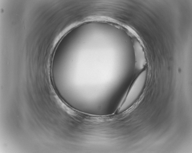 X0000087421438200705111905