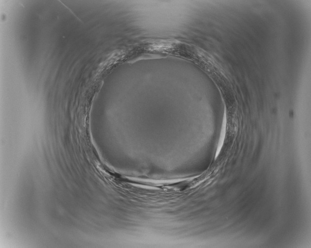 X0000087421441200705111904