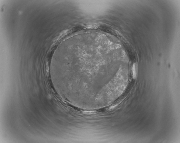 X0000087421443200705111904
