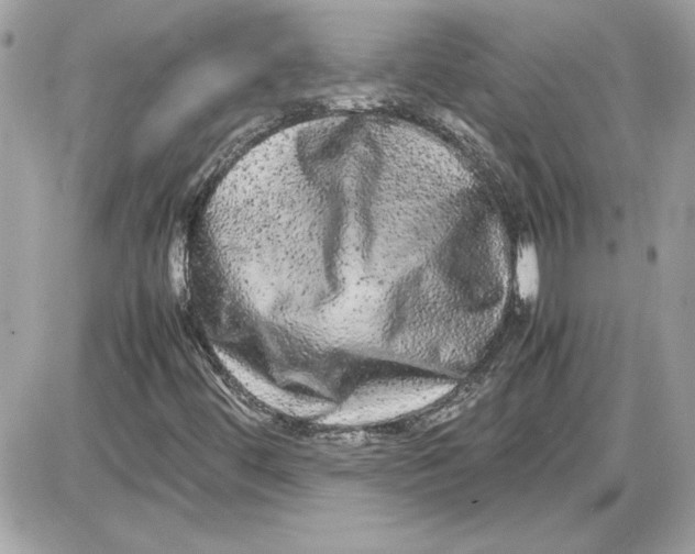 X0000087421444200705111904