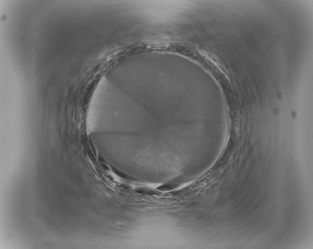 X0000087421445200705111904