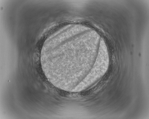X0000087421447200705111904