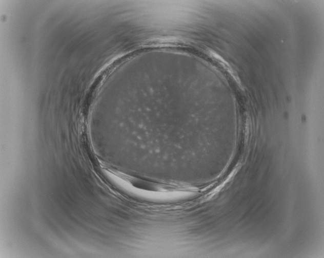 X0000087421449200705111904