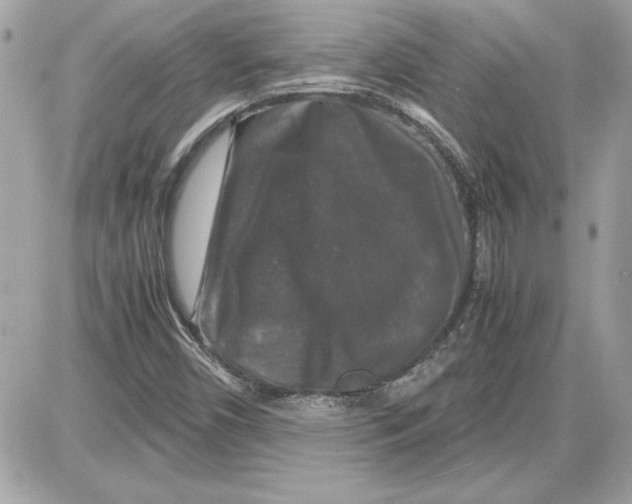 X0000087421450200705111904