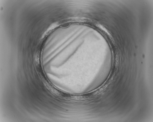 X0000087421451200705111904