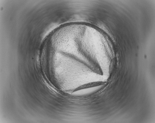 X0000087421452200705111904