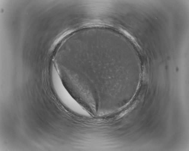 X0000087421453200705111904