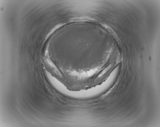 X0000087421457200705111904