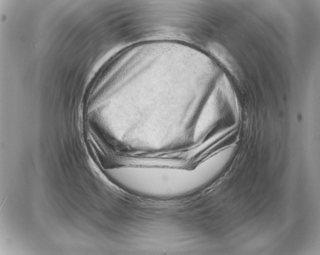 X0000087421468200705111904