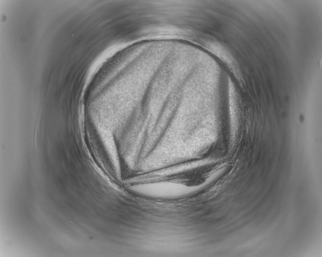 X0000087421472200705111904