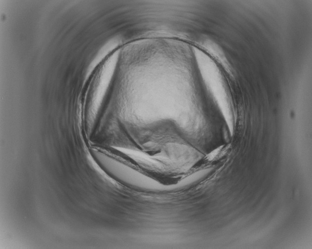 X0000087421476200705111904
