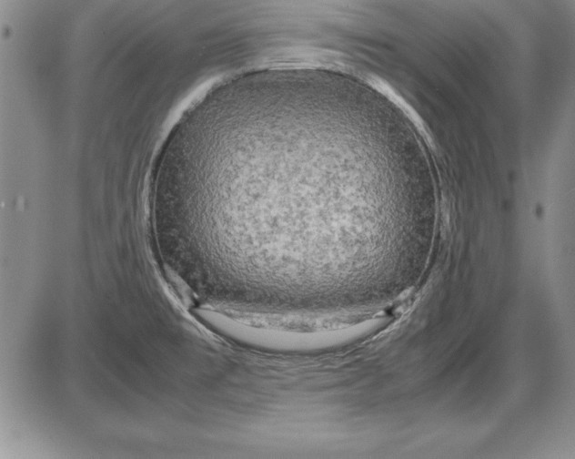 X0000087421477200705111904