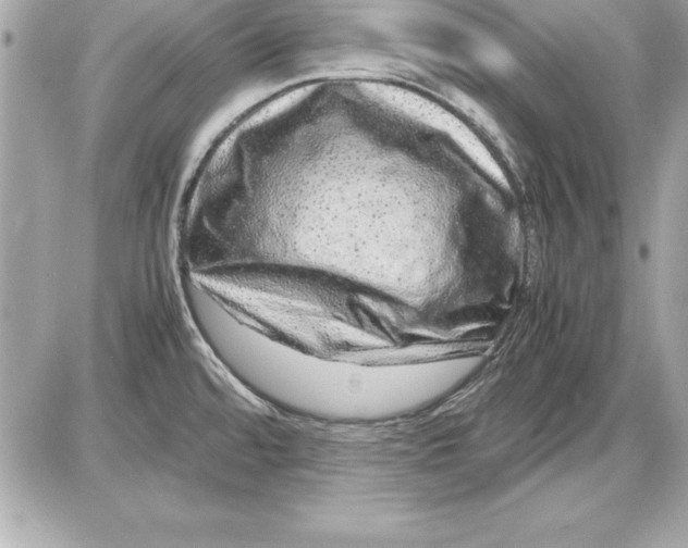 X0000087421480200705111904