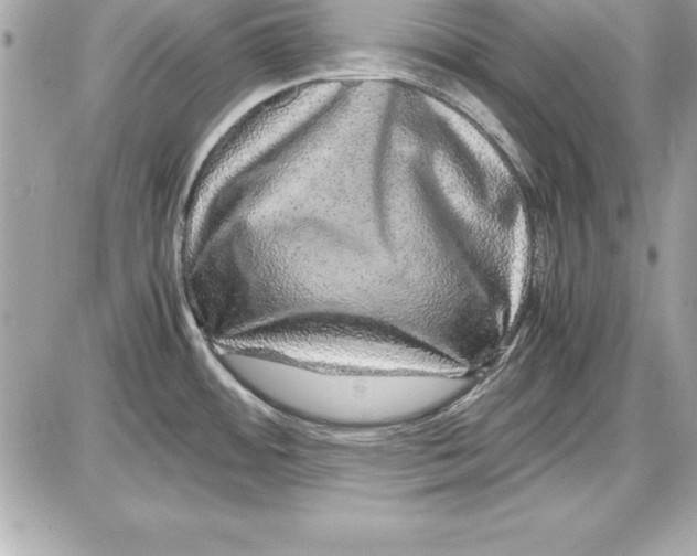 X0000087421484200705111904