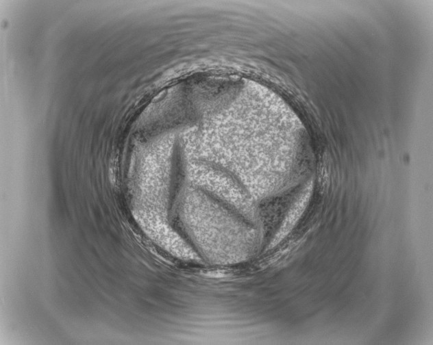 X0000087421490200705111903
