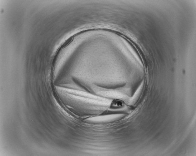 X0000087421500200705111903