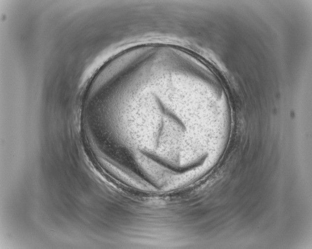 X0000087421504200705111903