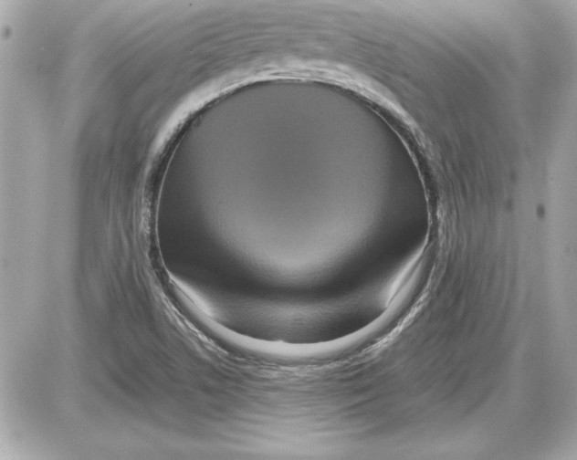 X0000087421506200705111903
