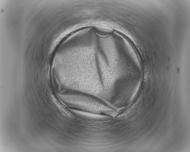 X0000087421507200705111903