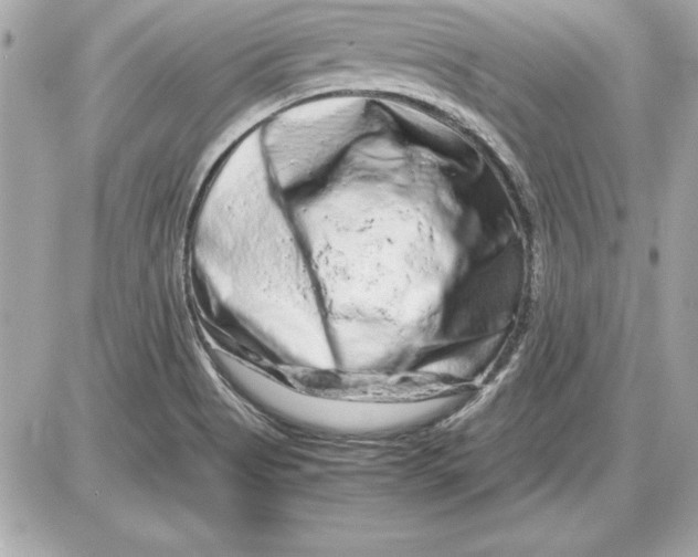X0000087421513200705111903