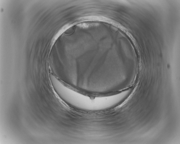 X0000087421529200705111903