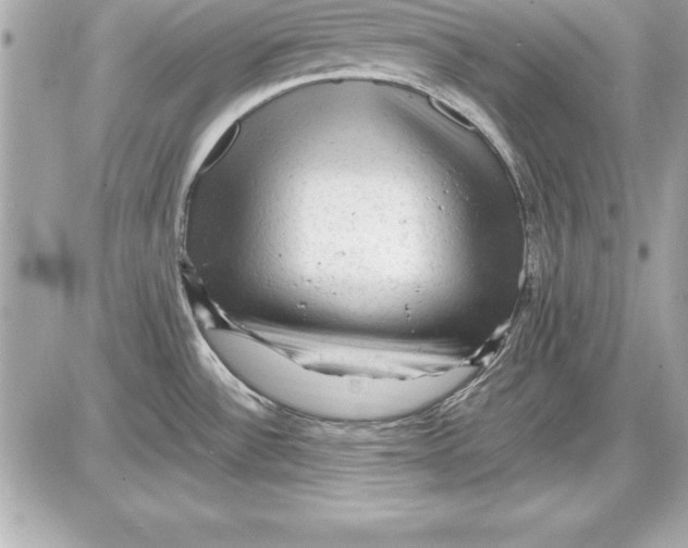 X0000087421532200705111903