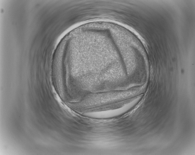 X0000087421534200705111904