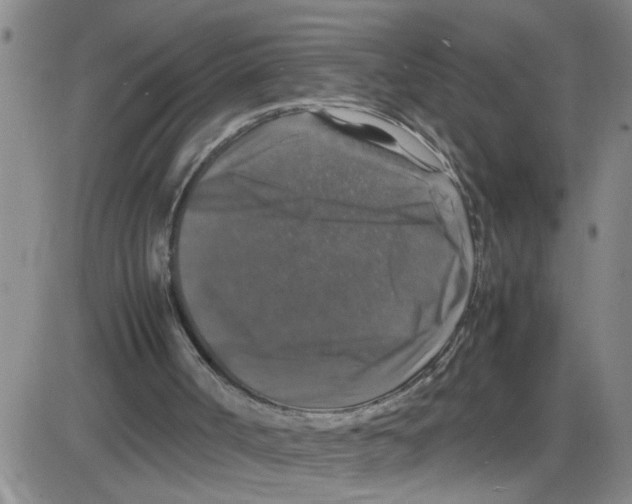 X0000087420002200705181434
