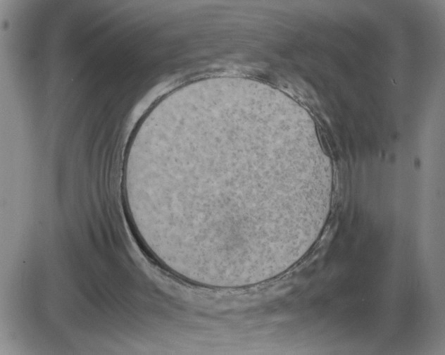 X0000087420003200705181434