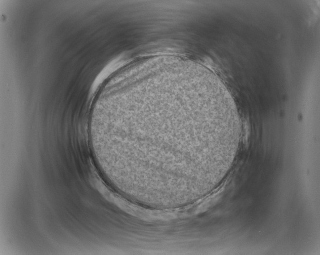 X0000087420004200705181434