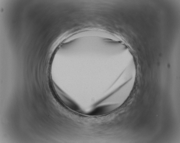 X0000087420007200705181434